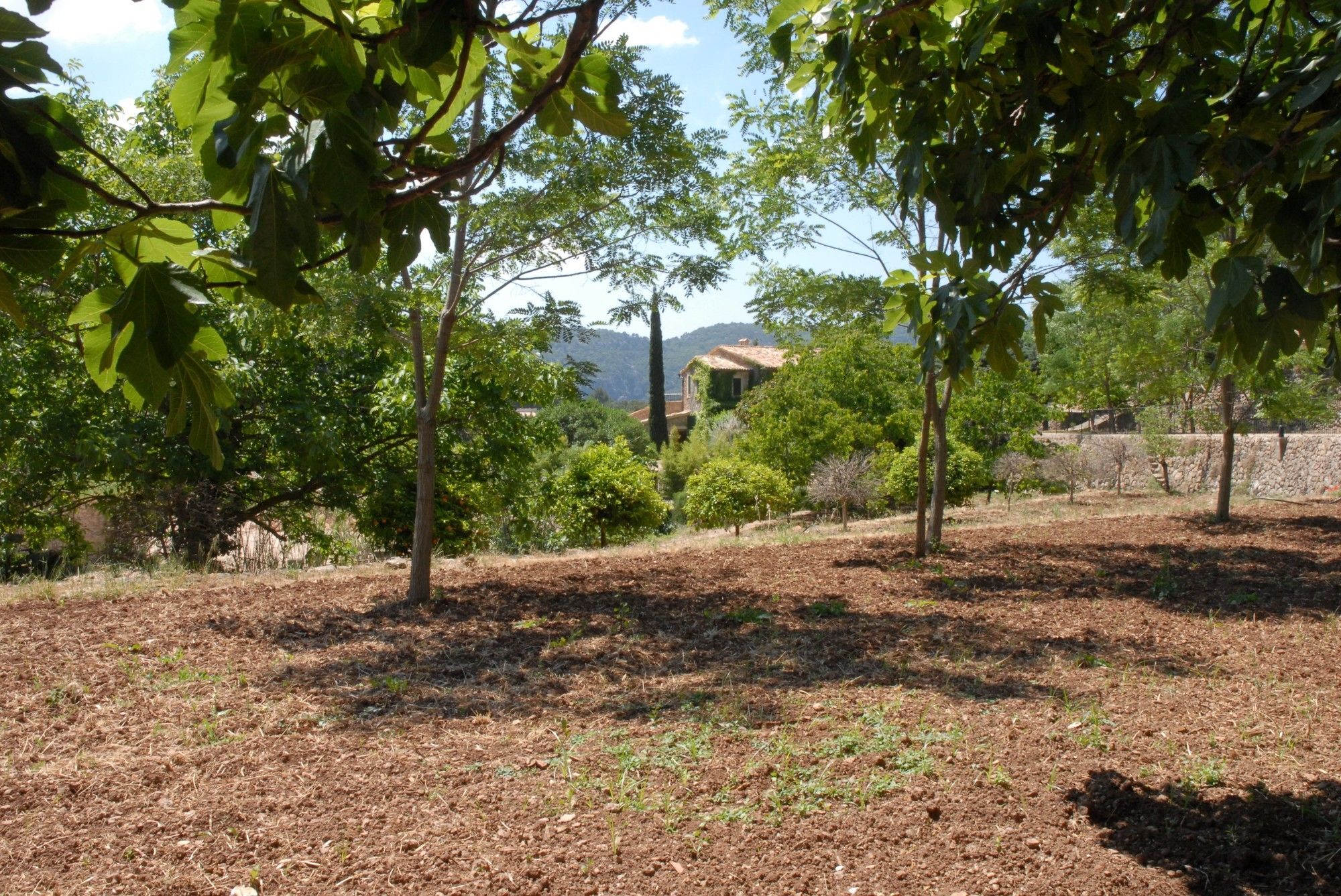Sa Vall Valldemossa Buitenkant foto